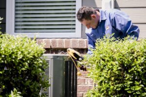 Maintaining AC System In Home With Pet Owners
