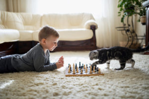 Little Boy Playing Chess With Cat
